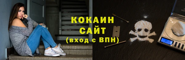 ПСИЛОЦИБИНОВЫЕ ГРИБЫ Михайлов