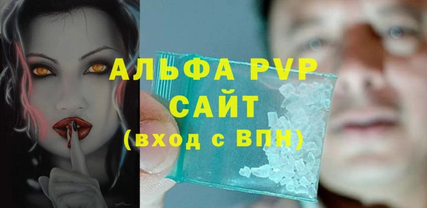 ПСИЛОЦИБИНОВЫЕ ГРИБЫ Михайлов