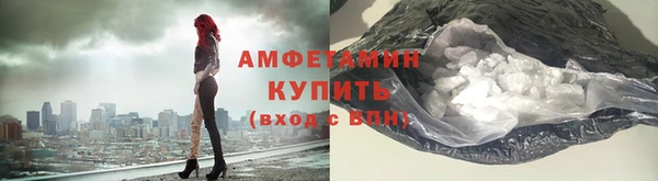 прущие грибы Михайловка