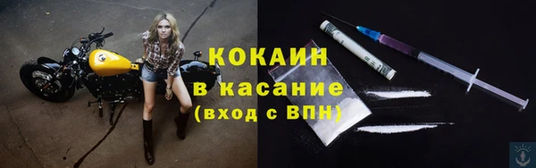 прущие грибы Михайловка