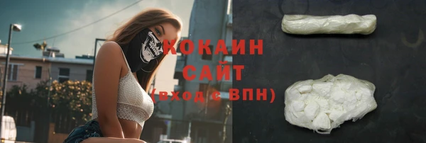 ПСИЛОЦИБИНОВЫЕ ГРИБЫ Михайлов