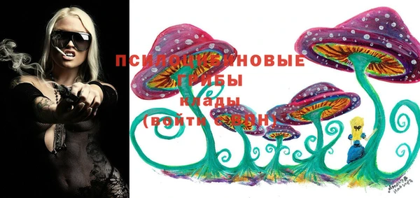 PSILOCYBIN Мегион