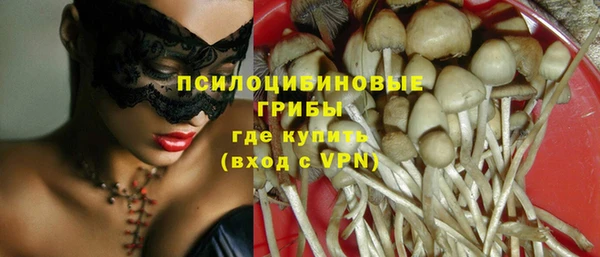 ПСИЛОЦИБИНОВЫЕ ГРИБЫ Михайлов