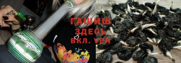 прущие грибы Михайловка