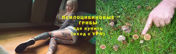 ПСИЛОЦИБИНОВЫЕ ГРИБЫ Михайлов
