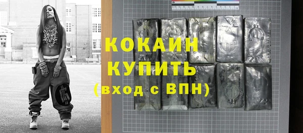 прущие грибы Михайловка