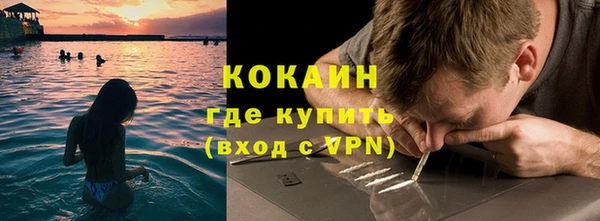 прущие грибы Михайловка