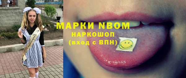 прущие грибы Михайловка