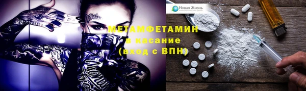 ПСИЛОЦИБИНОВЫЕ ГРИБЫ Михайлов