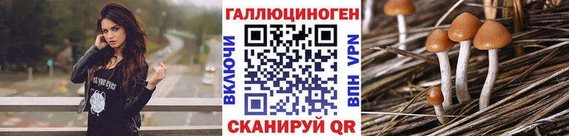 Псилоцибиновые грибы мицелий  что такое наркотик  Иркутск 